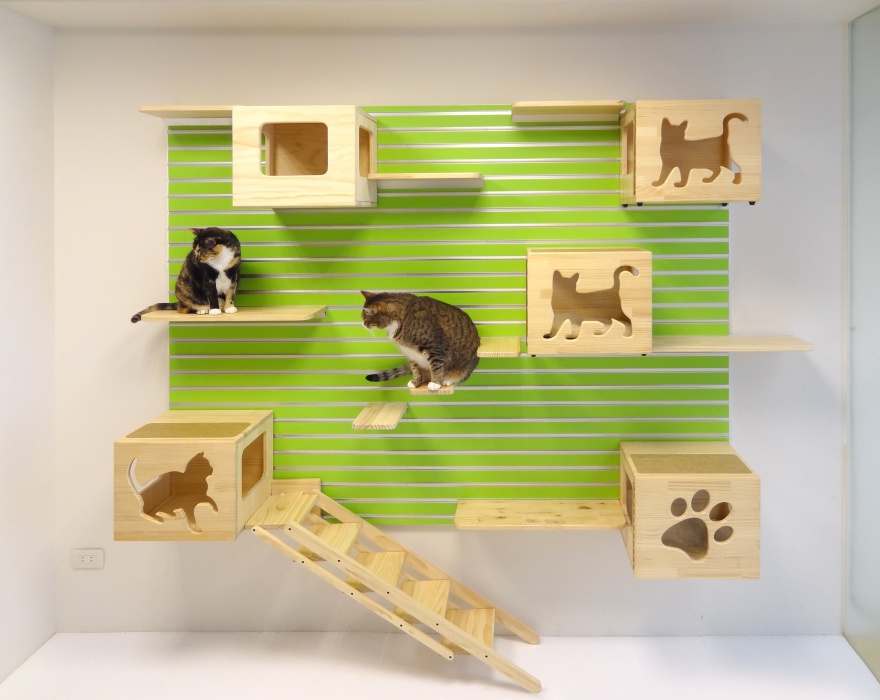 Cat Wall Shelves